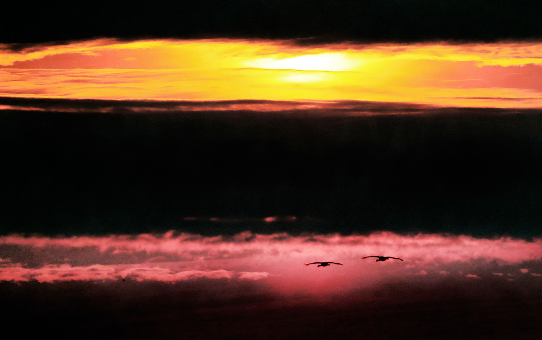 042120_GoodbyeCranes001_bjs.JPG